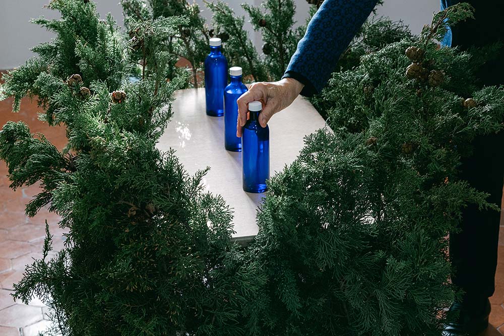 Hortus Fragrans. Œuvre olfactive. Photographie © Manon Tubœuf