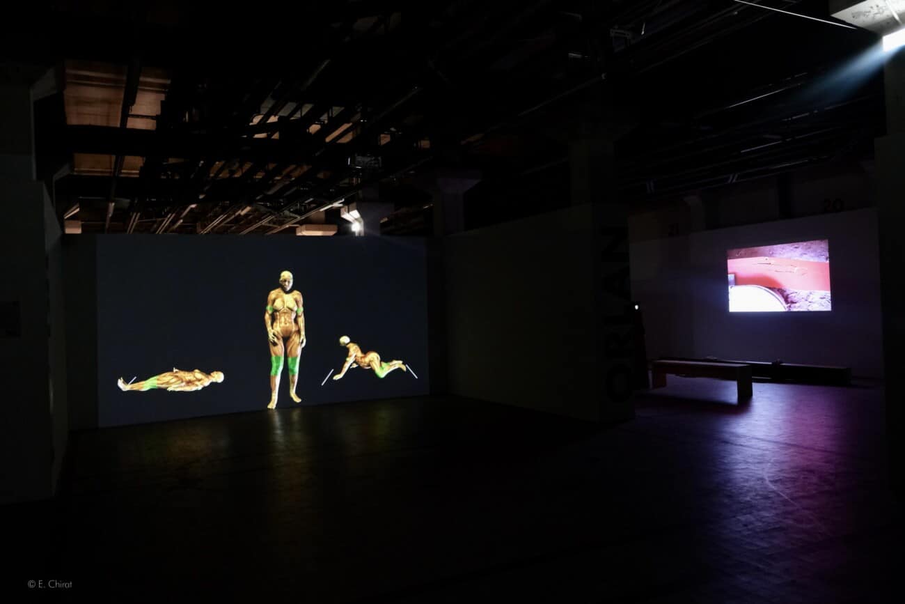 Festival OVNi, Oeuvres d'ORLAN et de Thomas Goux au 109, Grande Halle