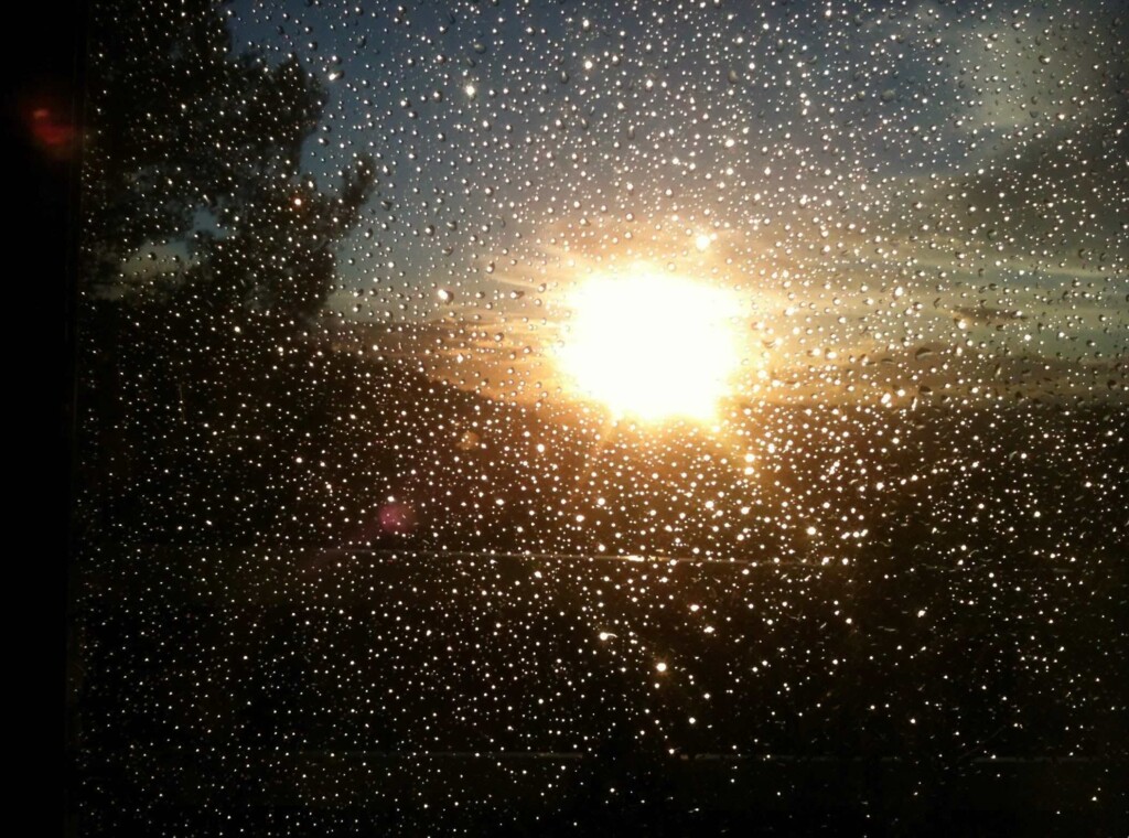 Les maisons gourmandes