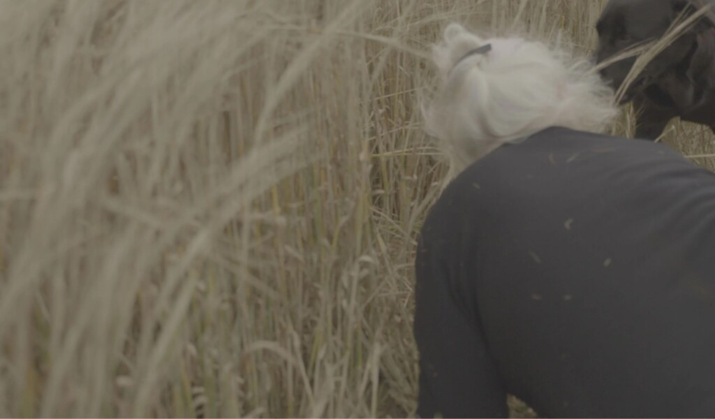 Les chiennes, Sophie Roger