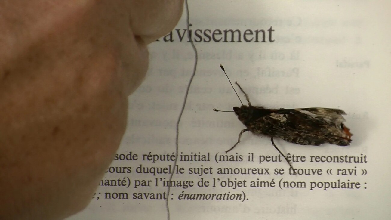 L’Amour sur le chemin des roncettes, Sophie Roger